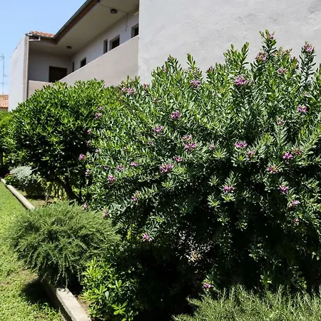 Apartamento Yannis *